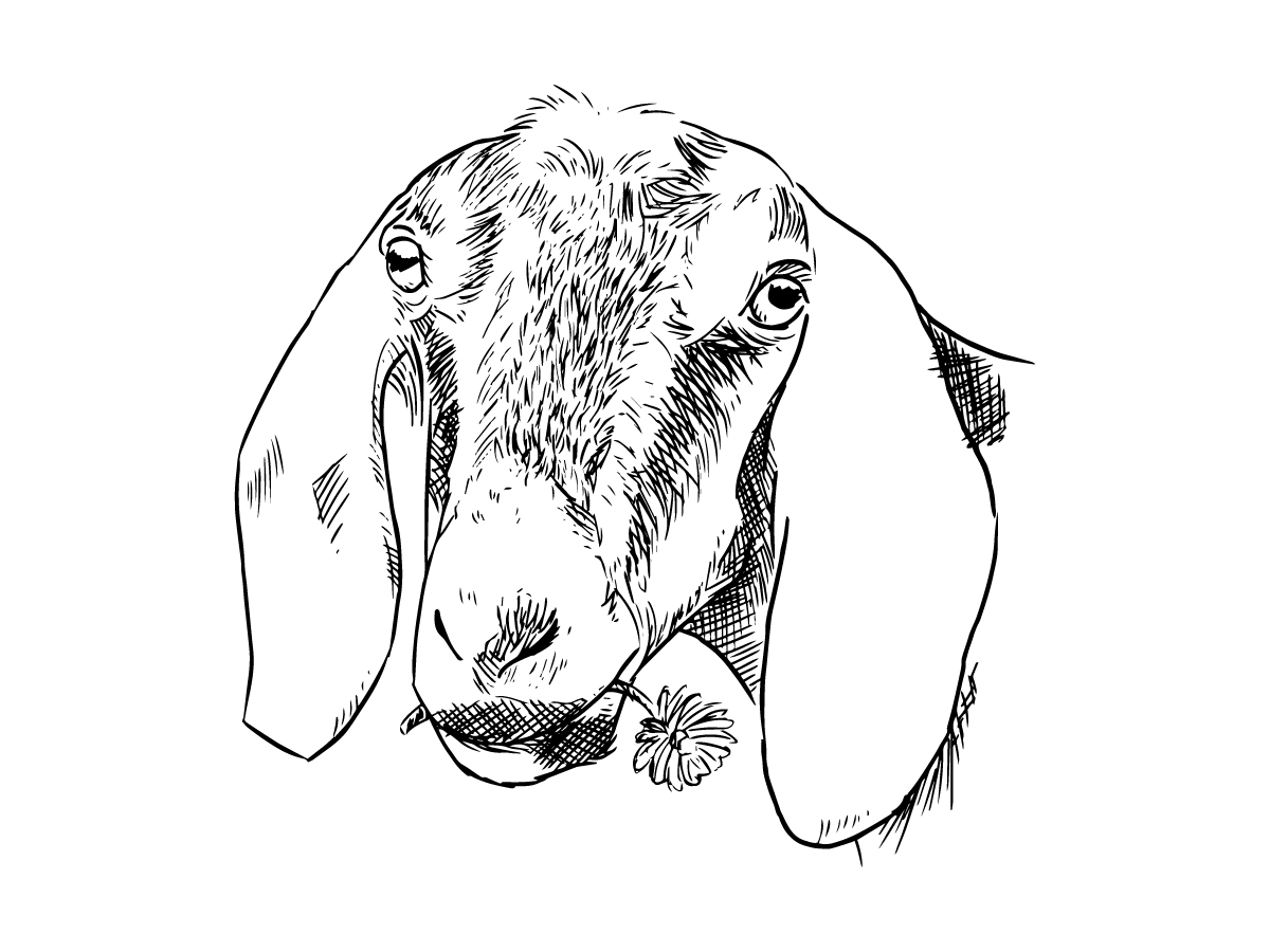 Graphic Design by areztoon for this project | Design #12167559