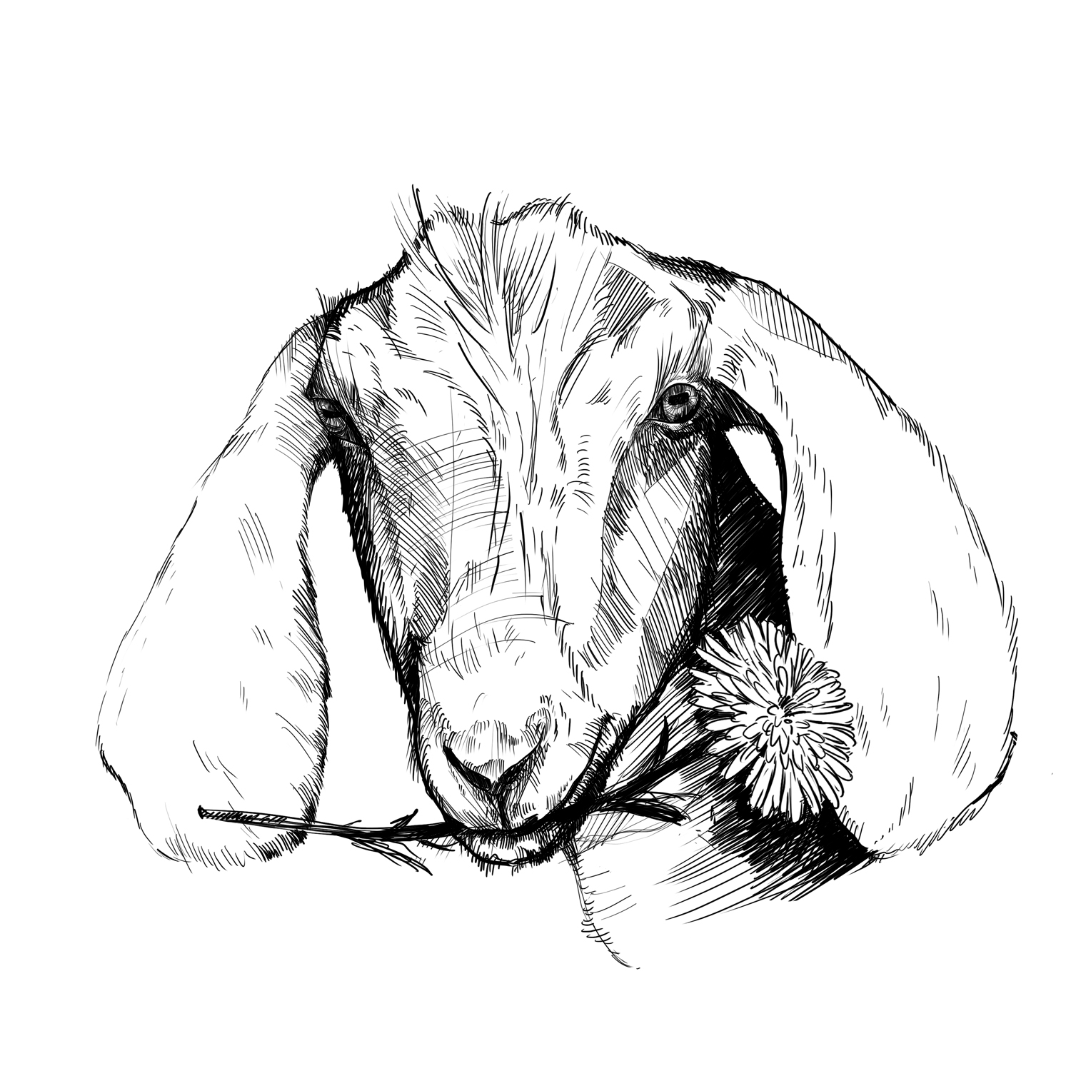 Graphic Design by kasia 2 for this project | Design #12134295