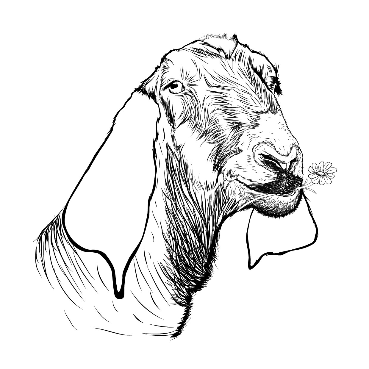 Graphic Design by pandji3 for this project | Design #12127182