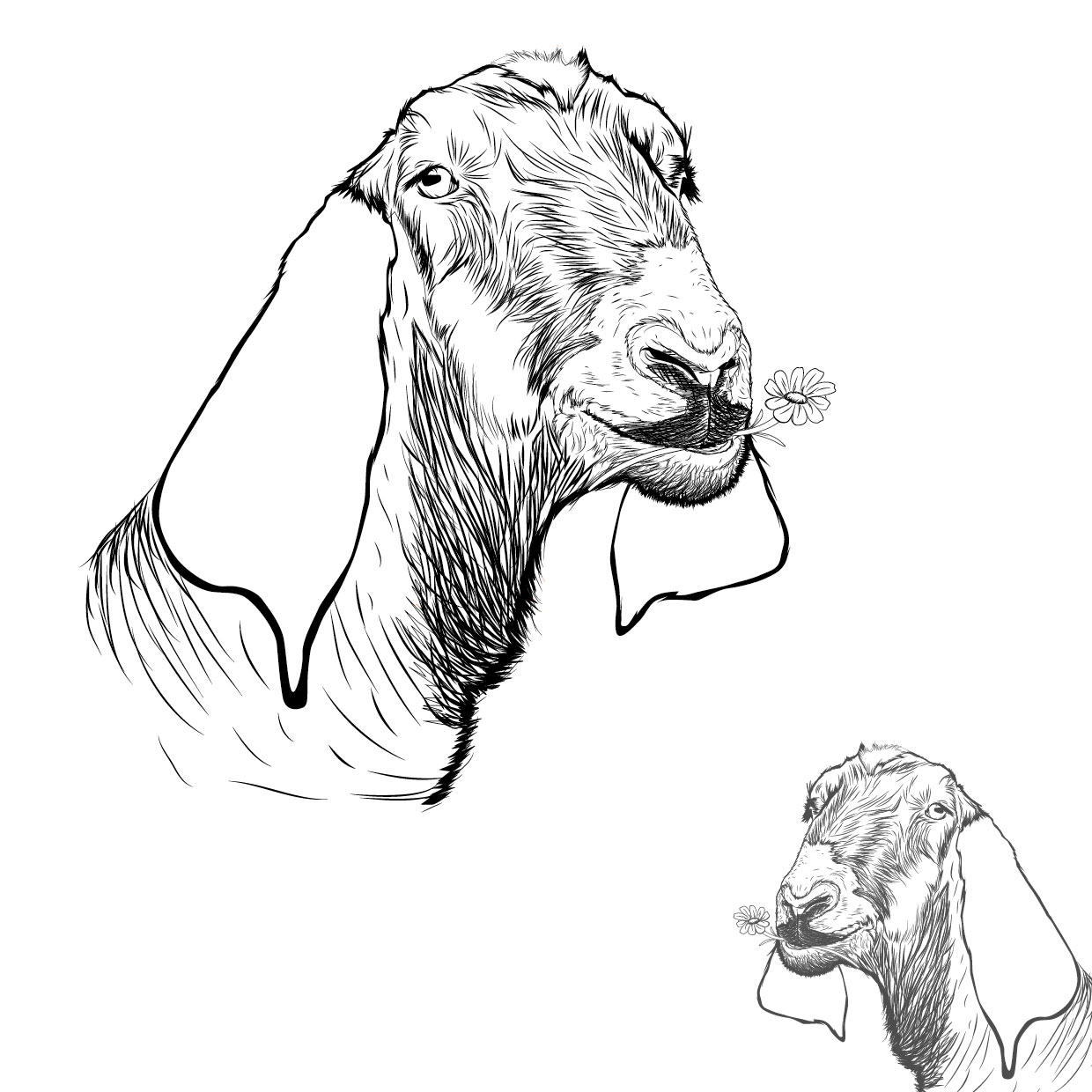 Graphic Design by pandji3 for this project | Design #12127261