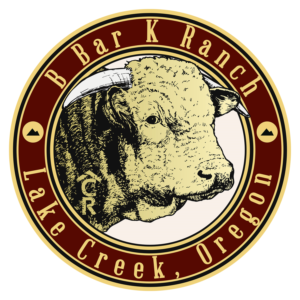 B Bar K Ranch | Logo Design by TTK