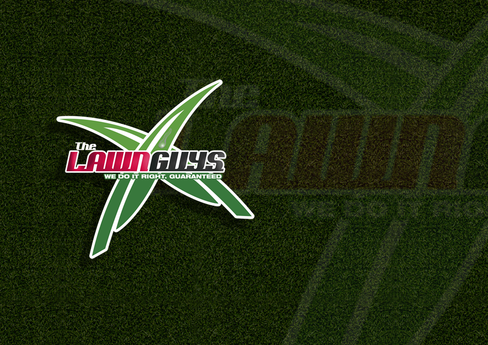Diseño de Logo por Kelstar para The Lawn Guys | Diseño #12152936