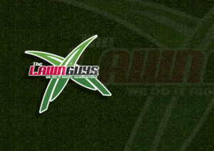 Logo Design by Kelstar for The Lawn Guys | Design #12152936