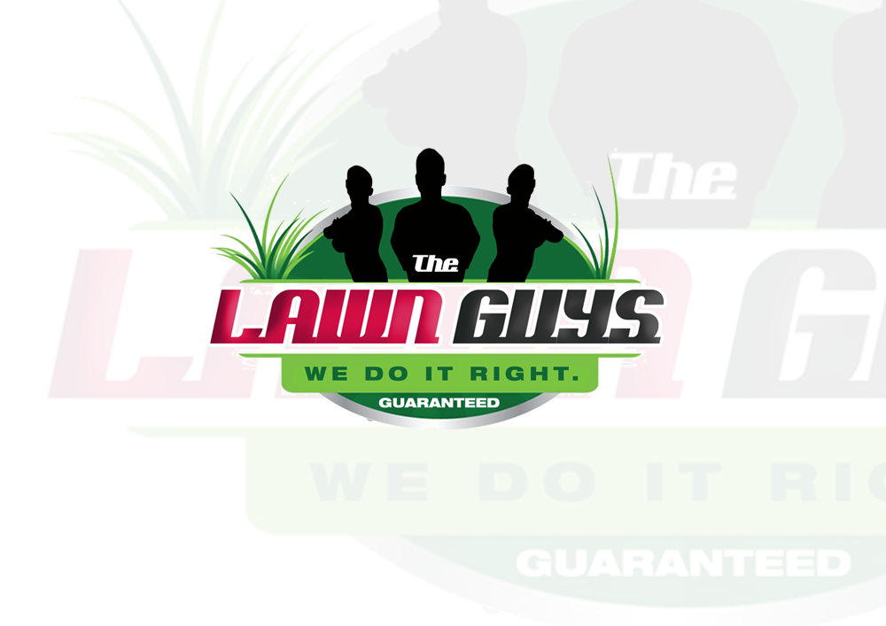 Logo Design by Kelstar for The Lawn Guys | Design #12152938
