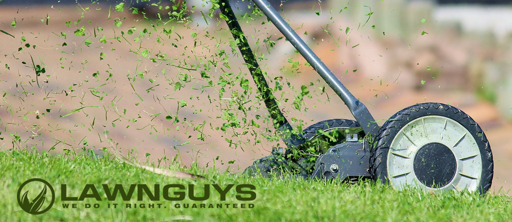 Logo Design by Kelstar for The Lawn Guys | Design #12167369