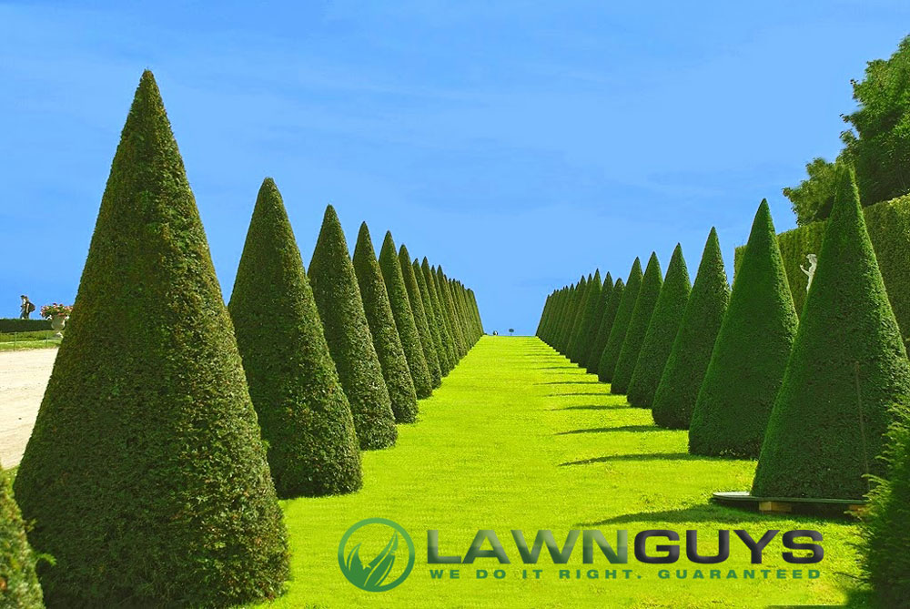 Logo Design by Kelstar for The Lawn Guys | Design #12167372
