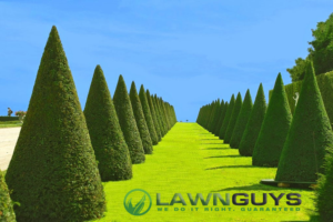 Logo Design by Kelstar for The Lawn Guys | Design: #12167372