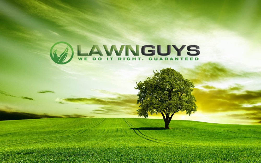 Logo Design by Kelstar for The Lawn Guys | Design #12167377