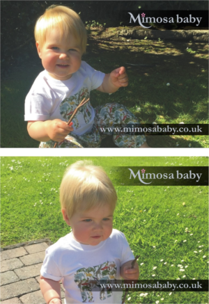 Logo Design by Actives for Mimosa Baby | Design: #12260496