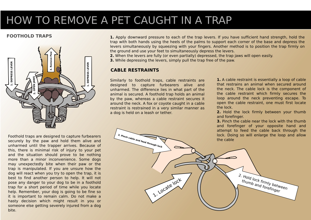 Flyer Design by Naiya Cassidy for Pa Trappers | Design #12215914