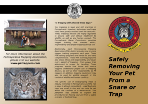 Design de Flyer par Naiya Cassidy pour Pa Trappers | Design : #12216071