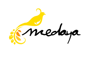Logo Design by Studio Neuville