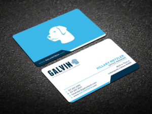 Diseño de Tarjeta de Presentación por Verified artistry (Design garden) para Galvin Technologies | Diseño: #12153060