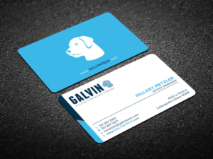 Diseño de Tarjeta de Presentación por Verified artistry (Design garden) para Galvin Technologies | Diseño: #12153066