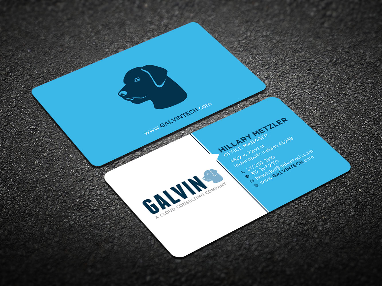 Diseño de Tarjeta de Presentación por Verified artistry (Design garden) para Galvin Technologies | Diseño #12153070