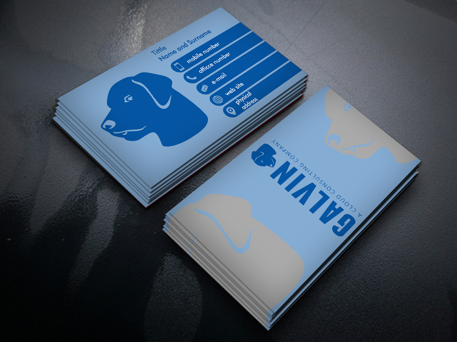 Diseño de Tarjeta de Presentación por ernestsegovia para Galvin Technologies | Diseño #12145421