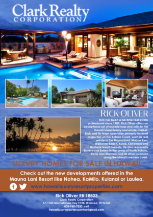 Design de Flyer par leuchi pour Clark Realty Corporation | Design #12145602