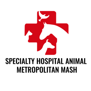 Logo Design by hbenmsik for this project | Design #12233860