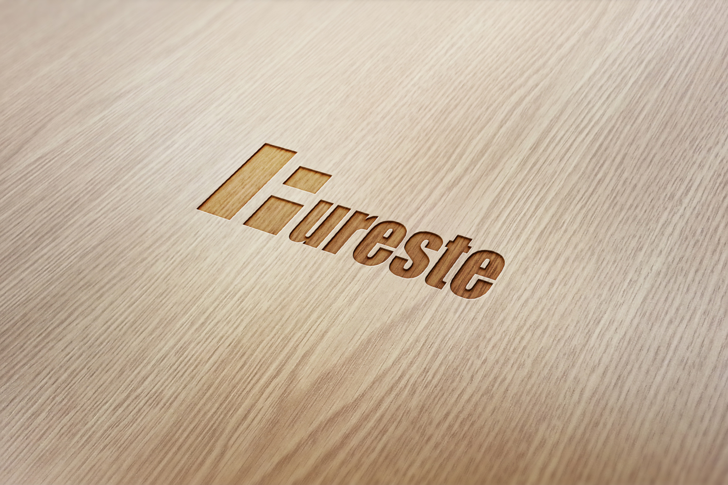 Diseño de Logo por damian para fureste | Diseño #12259455