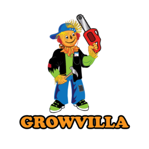 Logo Design by Archaeologo for Paulo Jorge Brandão Gonçalves | Design #12187520