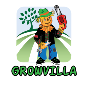 Logo Design by Archaeologo for Paulo Jorge Brandão Gonçalves | Design: #12187527