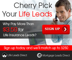 Banner Ad Design by Karolin for iLeads.com | Design: #2418325