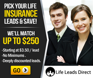 Banner Ad Design by MeMe Botrous for iLeads.com | Design: #2411492