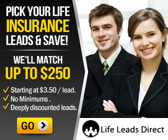 Banner Ad Design by MeMe Botrous for iLeads.com | Design #2413570