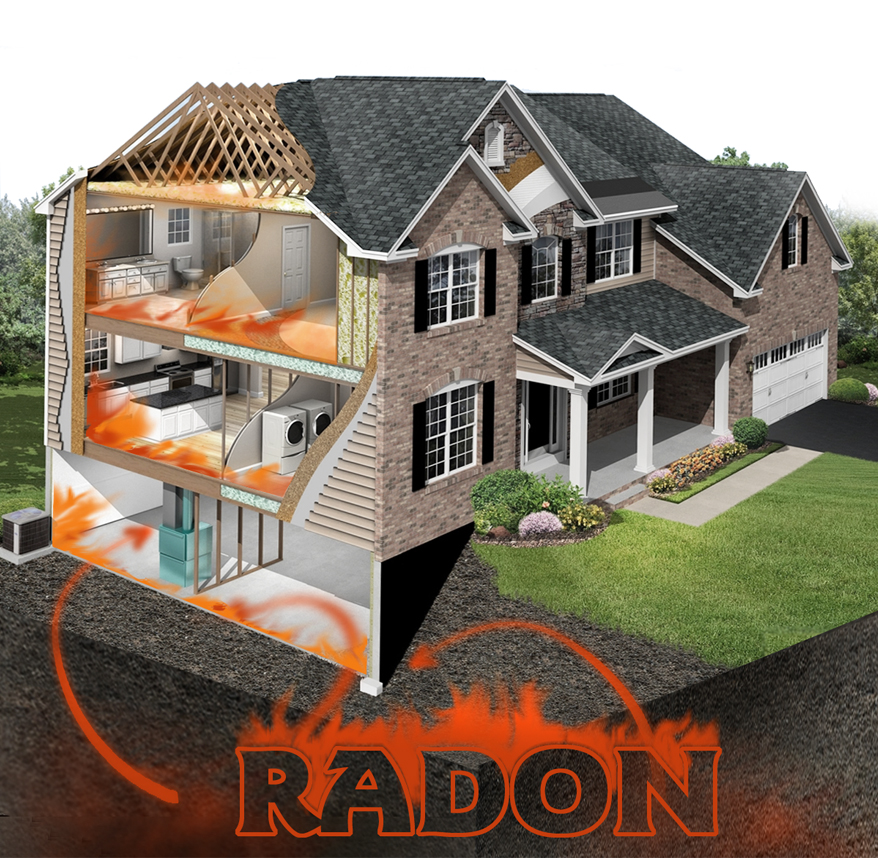 Graphic Design by Falguni for RMS | Design #12197304