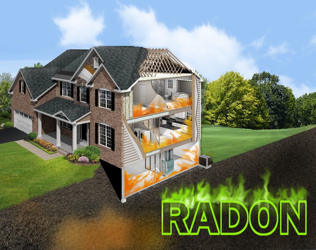 Design Graphique par Falguni pour RMS | Design #12209930