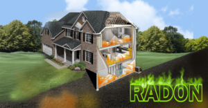 Graphic Design by Falguni for RMS | Design: #12212270