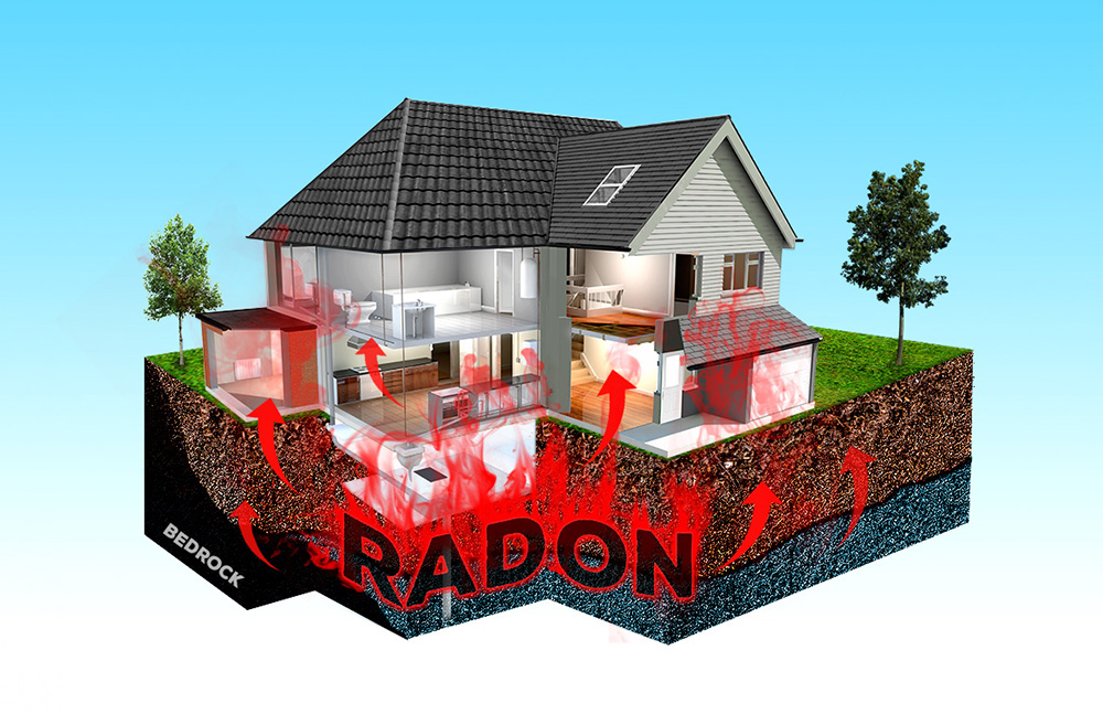 Graphic Design by Anooshaa Kachhia for RMS | Design #12184922