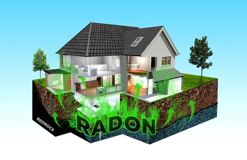 Graphic Design by Anooshaa Kachhia for RMS | Design #12184923
