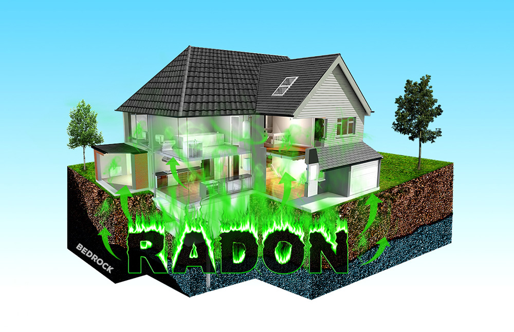 Graphic Design by Anooshaa Kachhia for RMS | Design #12193480