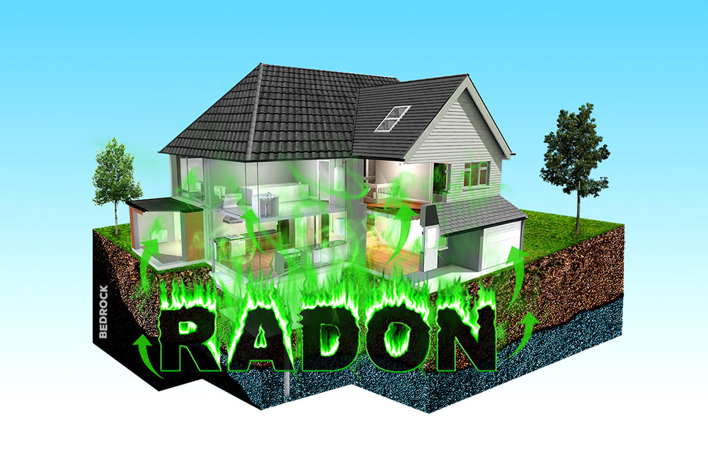 Graphic Design by Anooshaa Kachhia for RMS | Design #12193481