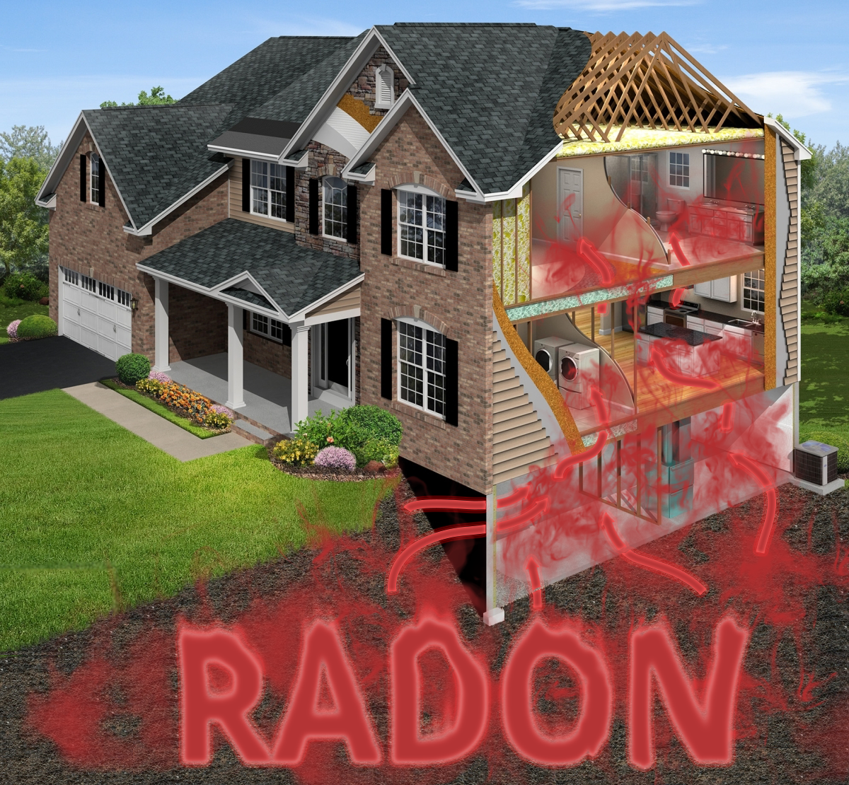 Grafik-Design von Kristina Andonoff für RMS | Design #12194887