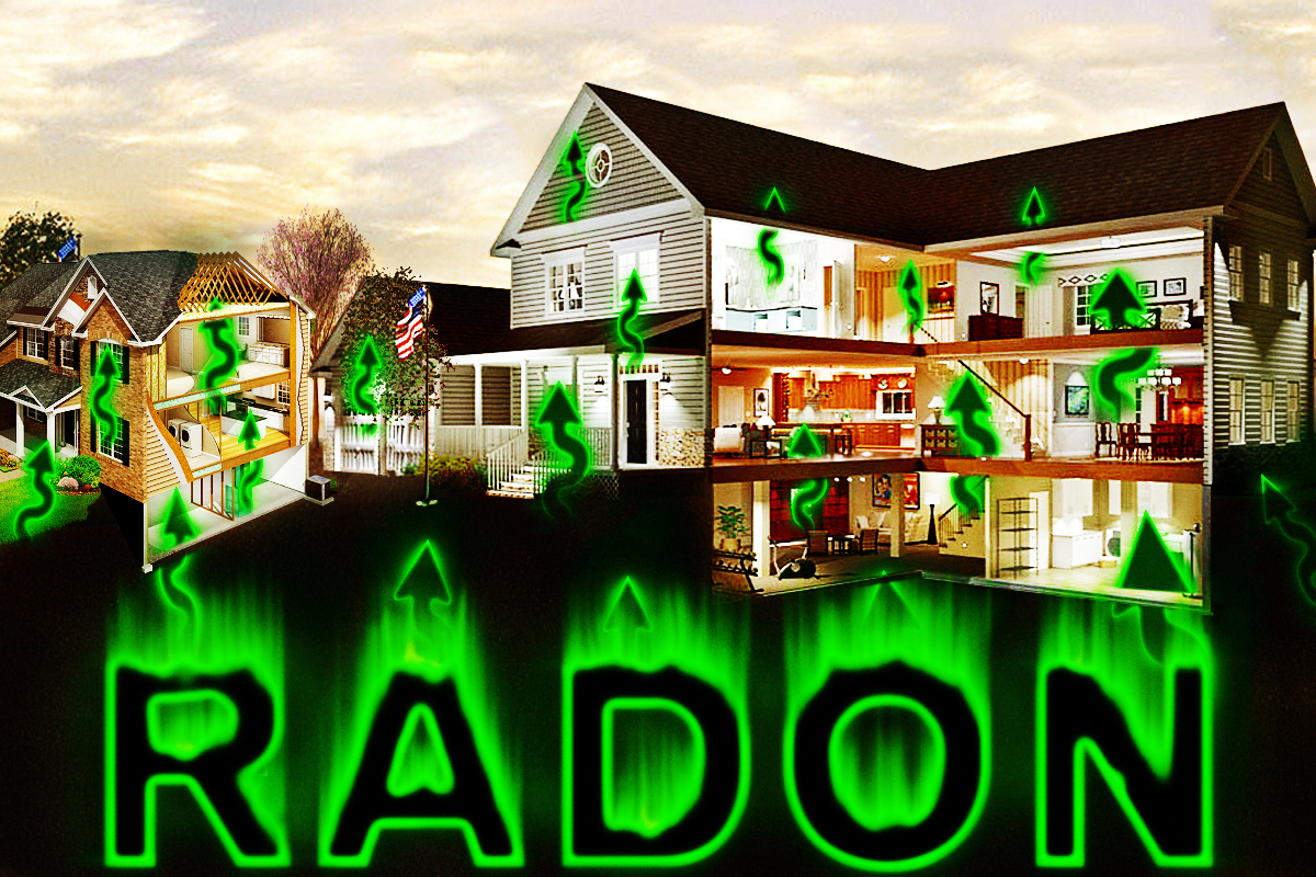 Graphic Design by UrbainFX for RMS | Design #12196235