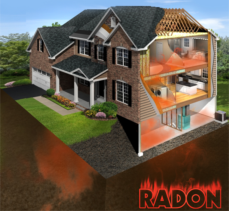 Graphic Design by SUNEEEEEL for RMS | Design #12194135