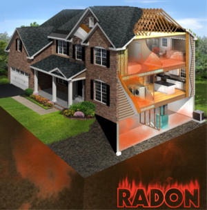 Graphic Design by SUNEEEEEL for RMS | Design: #12194150
