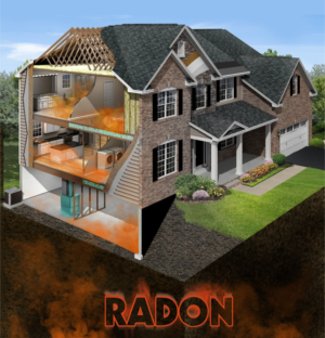 Graphic Design by SUNEEEEEL for RMS | Design: #12195206