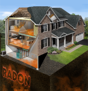 Graphic Design by SUNEEEEEL for RMS | Design: #12195245