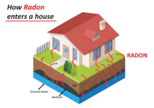 Graphic Design by Parul for RMS | Design: #12175801