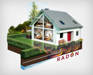Graphic Design by MNM for RMS | Design: #12166079