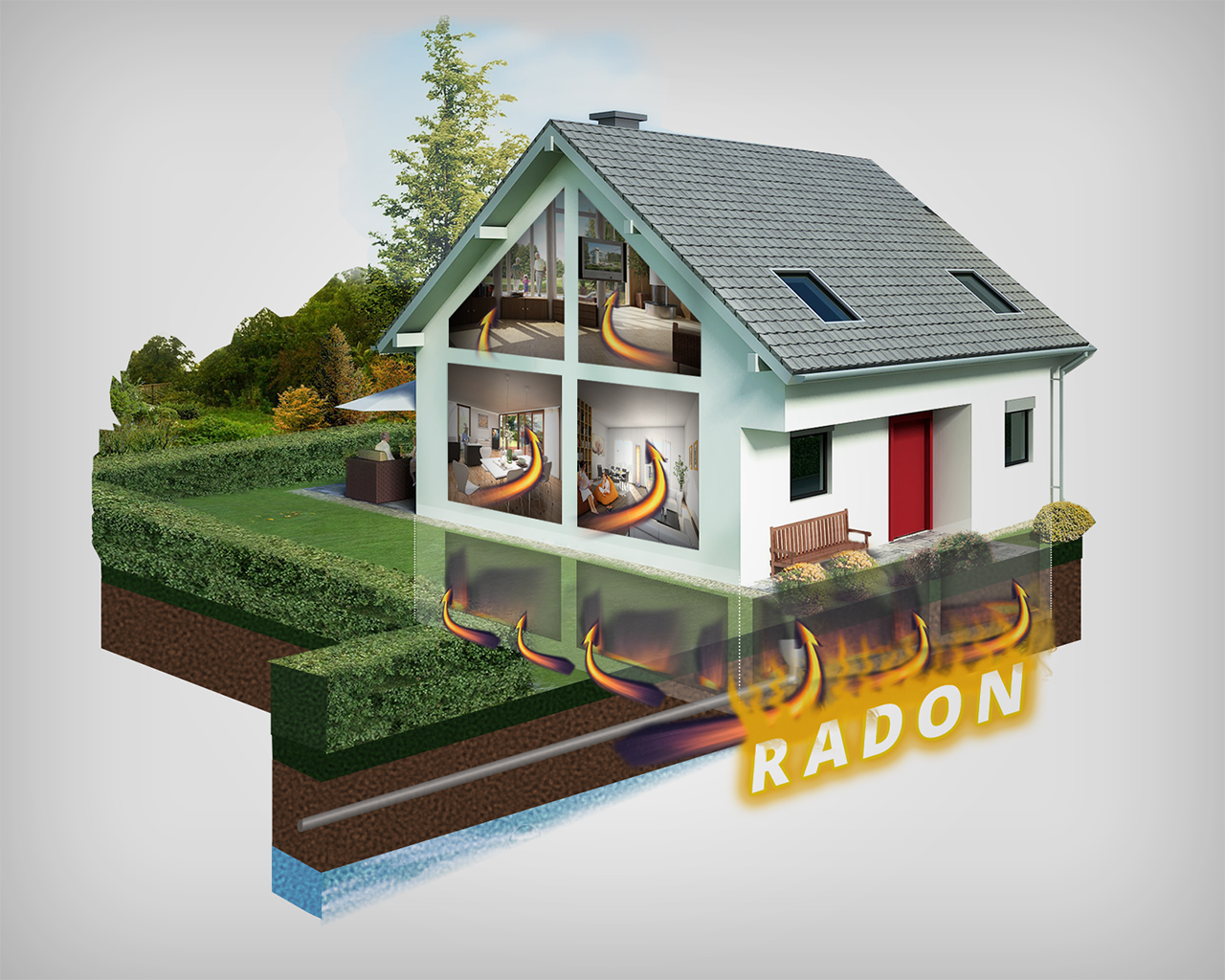 Grafik-Design von MNM für RMS | Design #12180757