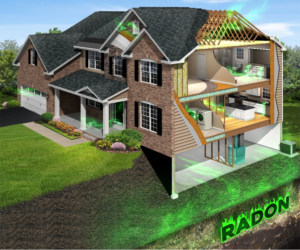 Graphic Design by Rama Dom™ for RMS | Design: #12195564
