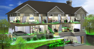 Graphic Design by Rama Dom™ for RMS | Design: #12237267