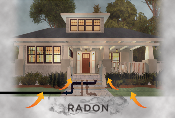 Graphic Design by Sarah Mathews for RMS | Design #12184897