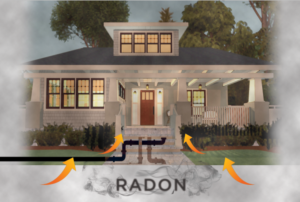 Graphic Design by Sarah Mathews for RMS | Design: #12184897