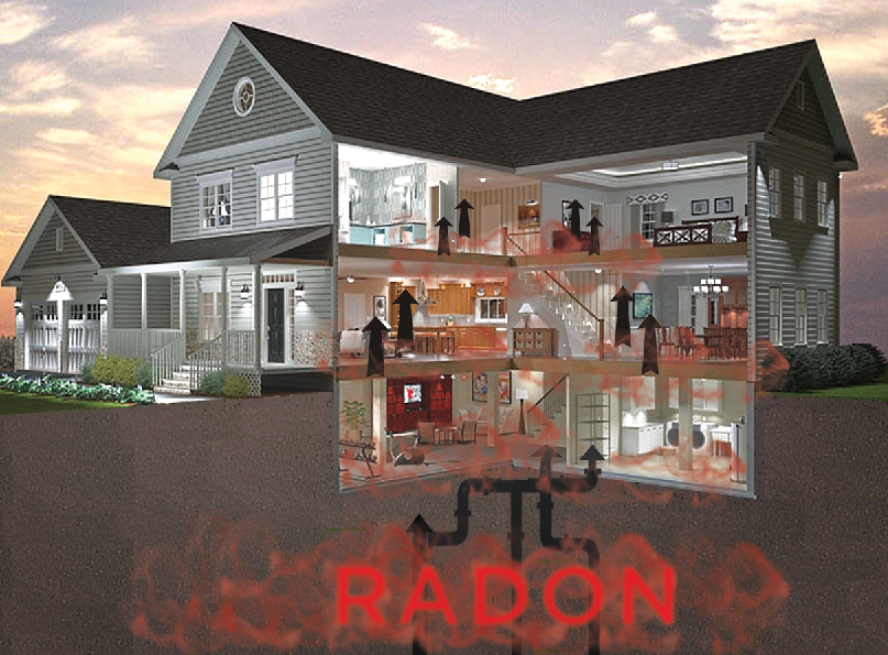 Graphic Design by Sarah Mathews for RMS | Design #12194100