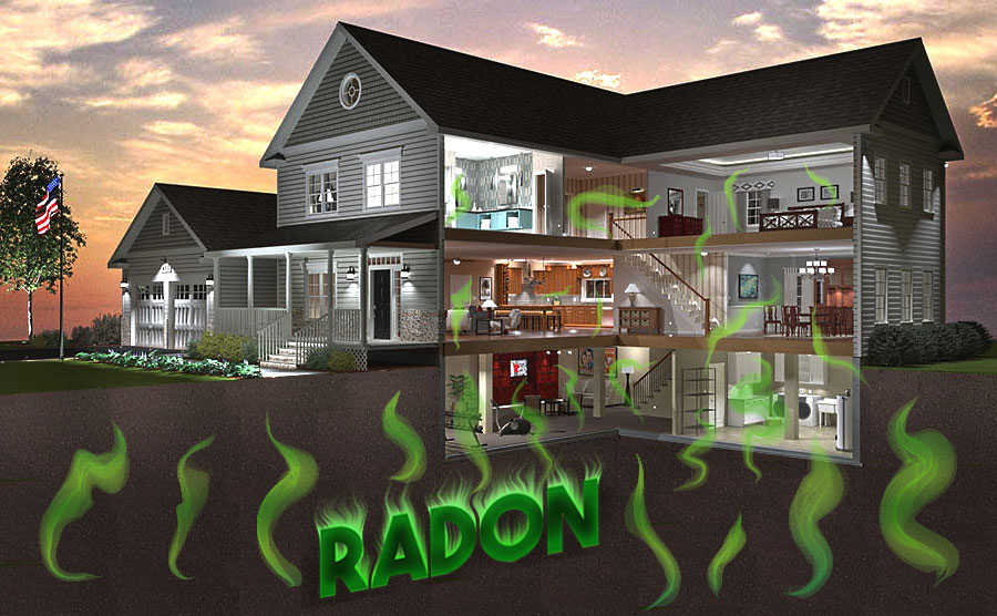 Design Graphique par Buney pour RMS | Design #12195021